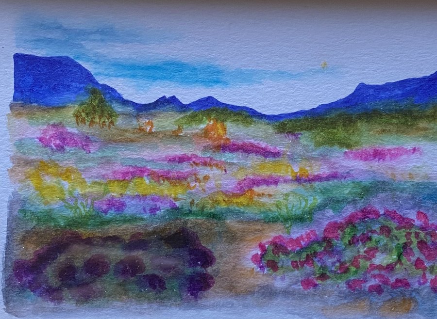 Blooming desert